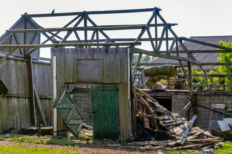 Shed Demolition detail
